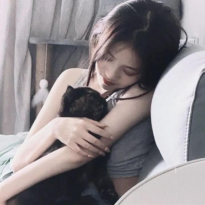 与狼共谋